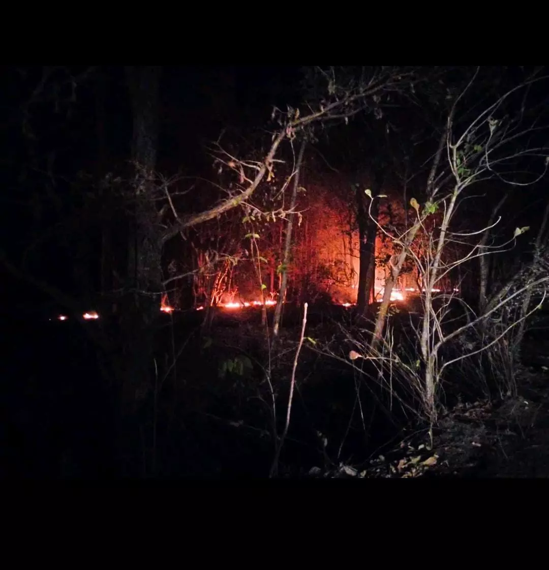 Massive Forest Fire Devastates Mahadevpur Forest Region, Threatens Wildlife