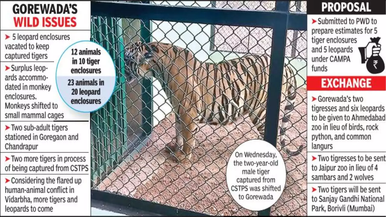 Central Zoo Authority (CZA) Poised to Approve Rescued Animal Exchanges for Gorewada