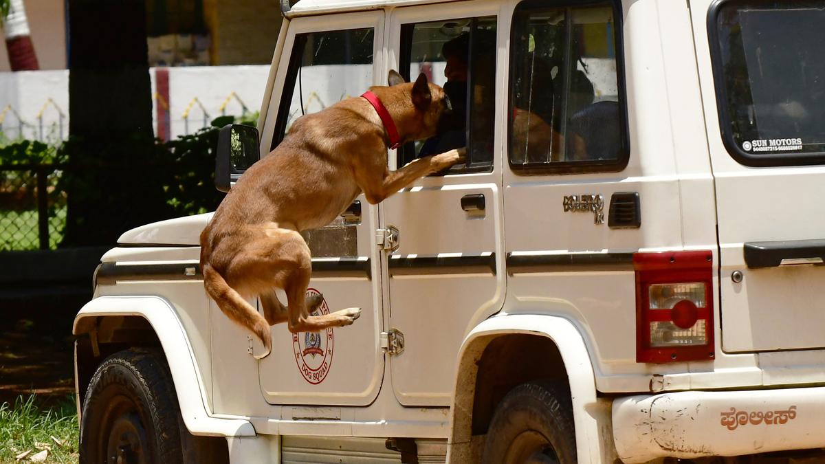 "Indian Dog Breeds to Play Key Role in Police Duties"