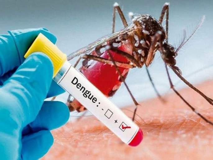 Dengue Surge Continues: Record Cases in September Send Alarm Bells Ringing in Nagpur